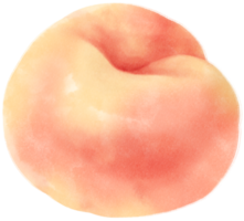 Peach Watercolor illustration png