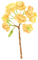 flor amarilla acuarela pintada a mano png