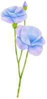 fleur aquarelle peinte à la main png