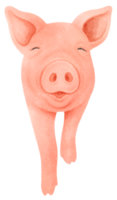 illustrazione dell'acquerello di maiale carino png