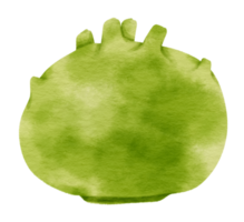 Ilustración de acuarela vegetal de raíz de colinabo png