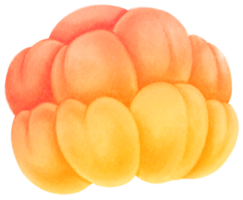 illustration aquarelle de fruits chicouté png