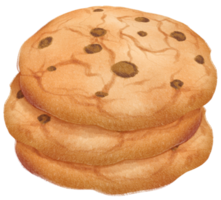 Watercolor chocolate chip cookies illustration png