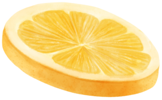 aquarel citroen fruit schijfje png