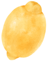 frutta al limone dell'acquerello png