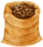 watercolor cocoa beans in burlap bag png