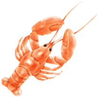 illustration aquarelle de fruits de mer de homard png