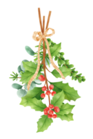 estilos de ilustración de acuarela de ramo de vegetación navideña png