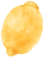 akvarell citron frukt png