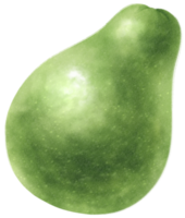 Avocado Watercolor illustration png