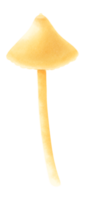 ilustración de acuarela de hongo amarillo png