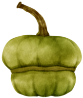 ilustración de acuarela vegetal de calabaza de invierno png