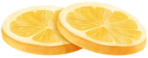 watercolor lemon fruit slice png