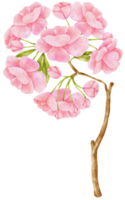 Pink Flower Watercolor hand-painted png