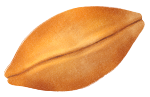 ilustração em aquarela dorayaki png