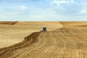 farm field cereals photo