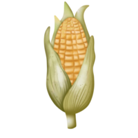 Corn flat watercolor png