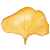 ginkgo leaf watercolor png