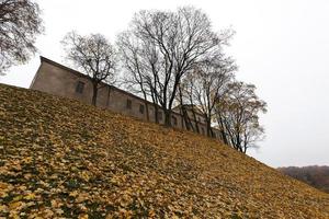 Park in the fall photo