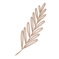 Line Art Leaf png