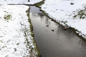 Winter time, river photo