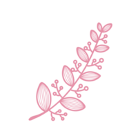 Line Art Leaf png