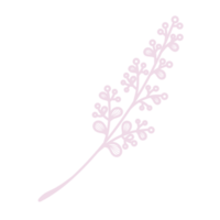 Line Art Leaf png