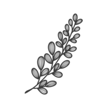 Line Art Leaf png