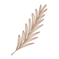 foglia d'arte linea png