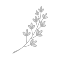 Line Art Leaf png