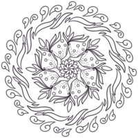 Mandalas geometrisches Muster, warmes Mandala, Regenbogenblume des Lebens mit Lotus, Blume des Lebens in Lotus png