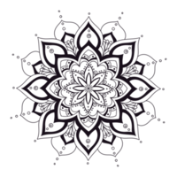 mandala's geometrisch patroon, warme mandala, regenboogbloem van het leven met lotus, bloem van het leven in lotus png