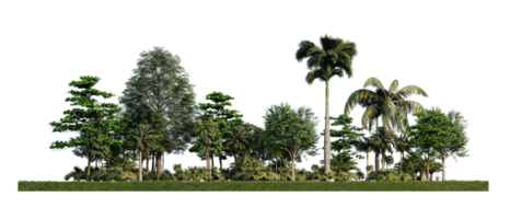 Immagine di rendering 3ds di alberi di rendering 3d sul campo di erbe png