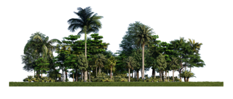 Immagine di rendering 3ds di alberi di rendering 3d sul campo di erbe png