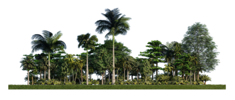 Image de rendu 3ds d'arbres de rendu 3d sur le terrain d'herbes png