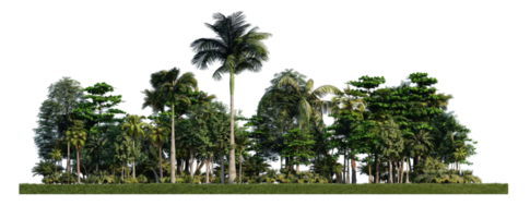 Image de rendu 3ds d'arbres de rendu 3d sur le terrain d'herbes png