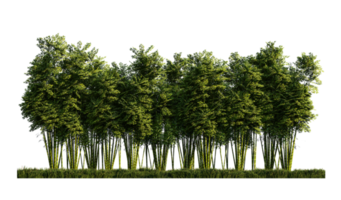 una imagen en 3D de muchos bambúes png
