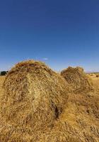 haystacks straw . summer photo