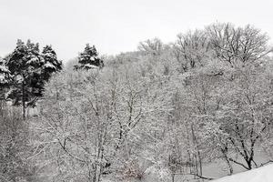 parque de invierno con nieve. foto