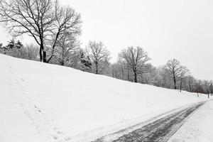 camino cubierto de nieve foto