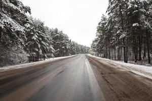 camino rural en invierno foto