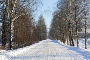 el camino de invierno foto