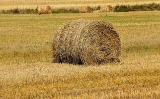 straw stack close up photo