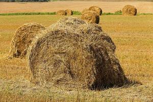 straw stack close up photo