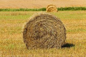 straw stack close up photo