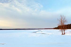 agricultural field in the winter photo