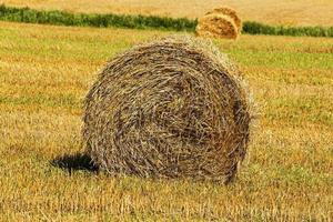 straw stack close up photo