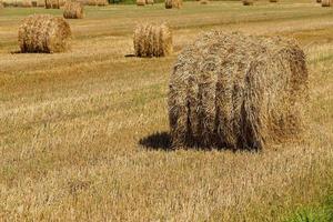 straw stack close up photo