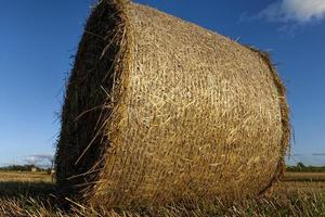 cylindrical straw stacks photo