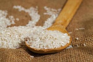 rice grains close up photo